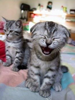 hihihihi